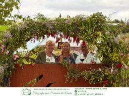 Festival Mar de Tethys 2026 - Bodega Vetas